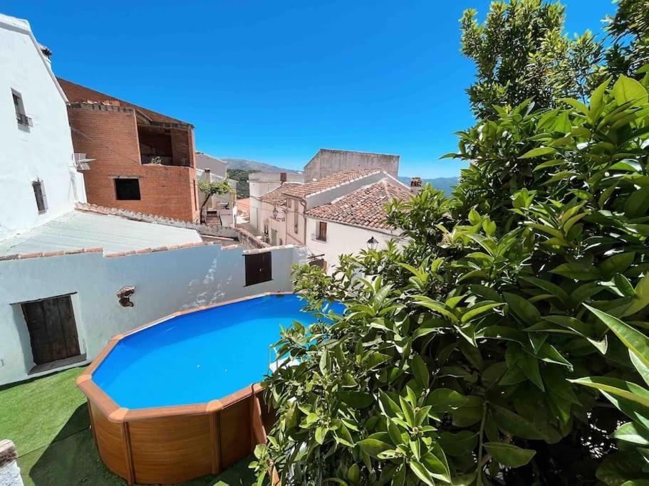 La Palmera. Casa Rural Con Piscina Privada. Benadalid Dış mekan fotoğraf