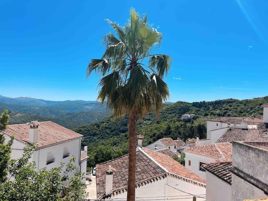La Palmera. Casa Rural Con Piscina Privada. Benadalid Dış mekan fotoğraf