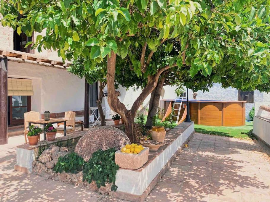 La Palmera. Casa Rural Con Piscina Privada. Benadalid Dış mekan fotoğraf
